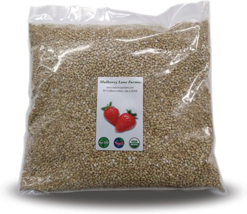 Mulberry Lane Farms Organic Buckwheat Groats - 5 Pounds - Image 1